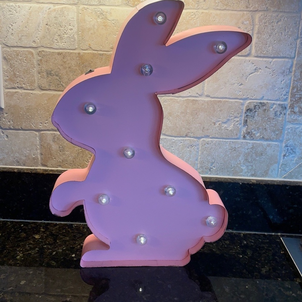 Light Up Bunny Decor